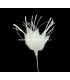 FLOR DE PLUMAS