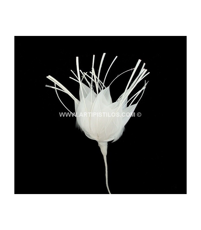 FLOR DE PLUMAS