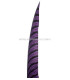 PHEASANT FEATHER LADY AMHERST 50-62,5 CMS.