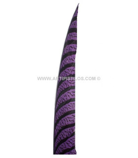 Pluma De Faisán Lady Amherst 50-62,5 Cms. Emperor 60 Cms. - colores para
