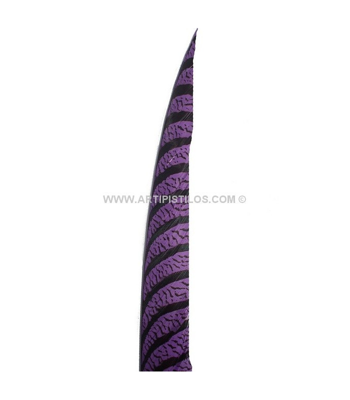 PHEASANT FEATHER LADY AMHERST 50-62,5 CMS.