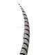 PHEASANT FEATHER LADY AMHERST 50-62,5 CMS.