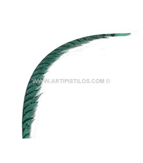 Pluma De Faisán Lady Amherst 50-62,5 Cms. Jade 60 Cms. - colores para