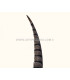 PHEASANT FEATHER LADY AMHERST 50-62,5 CMS.