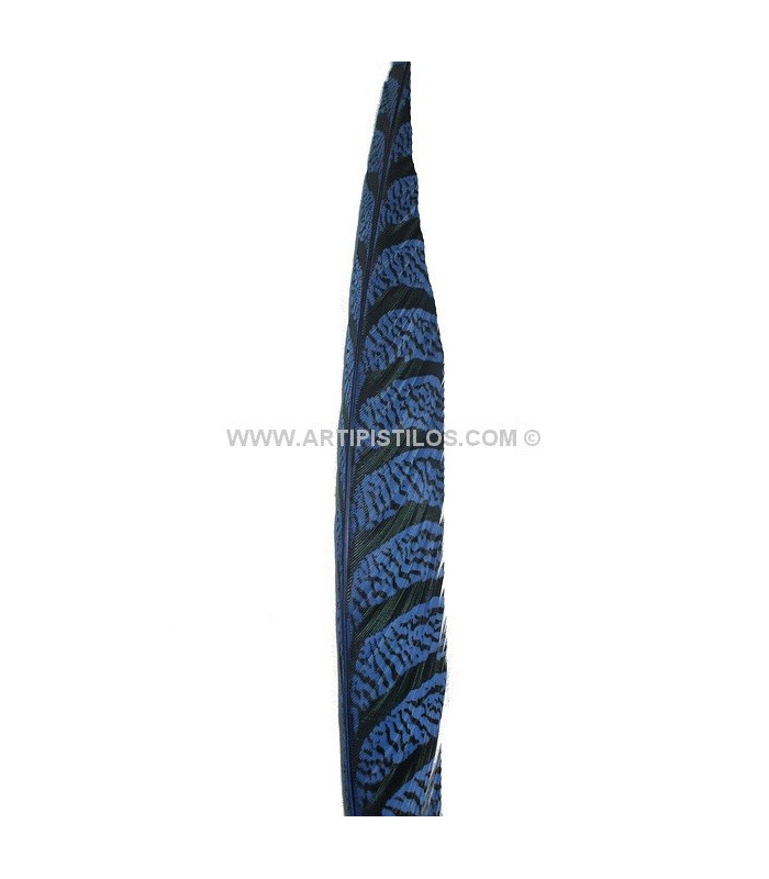 PHEASANT FEATHER LADY AMHERST 50-62,5 CMS.