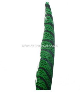 Pluma De Faisán Lady Amherst 50-62,5 Cms. Verde 60 Cms. - colores para