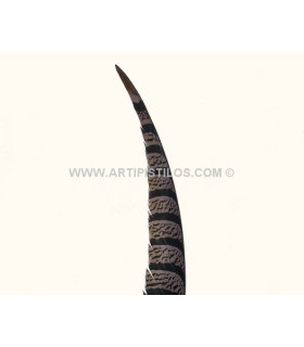 PHEASANT FEATHER LADY AMHERST 75-87,5 CMS.