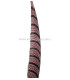 PLUMA DE FAISÁN LADY AMHERST 75-85 CMS.