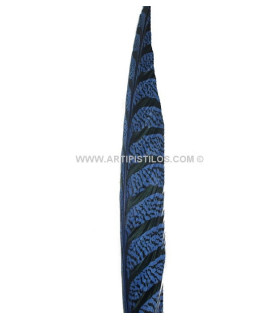 Pluma de faisán Lady Amherst 80 - 90 cm