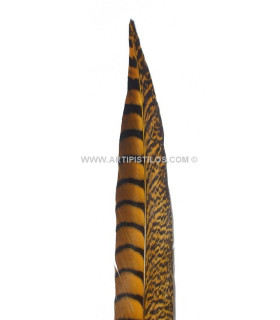 PHEASANT FEATHER LADY AMHERST 40-45 CMS.