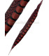 PHEASANT FEATHER LADY AMHERST 40-45 CMS.