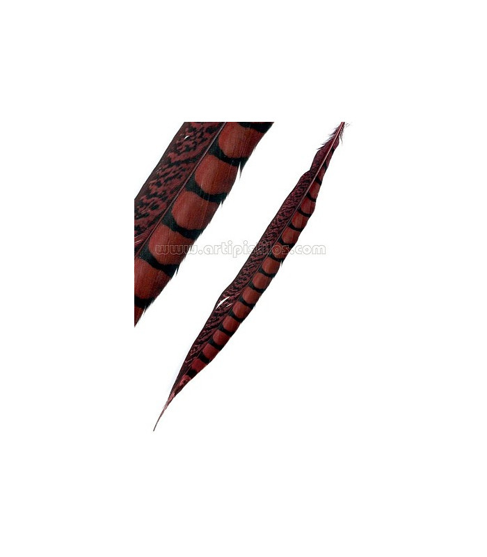 PHEASANT FEATHER LADY AMHERST 40-45 CMS.