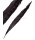 PHEASANT FEATHER LADY AMHERST 40-45 CMS.