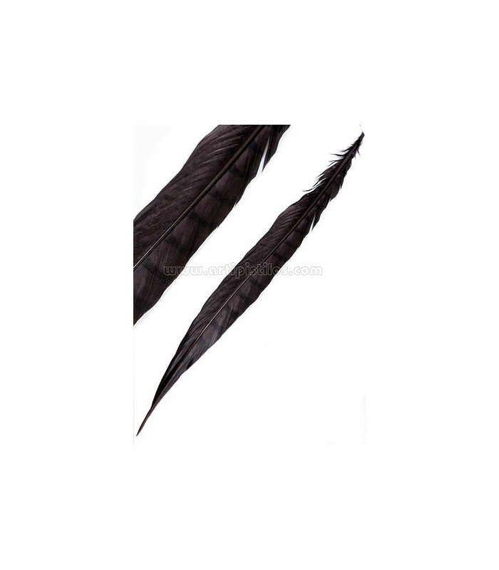PHEASANT FEATHER LADY AMHERST 40-45 CMS.