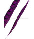PHEASANT FEATHER LADY AMHERST 40-45 CMS.