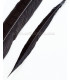 PHEASANT FEATHER LADY AMHERST 40-45 CMS.