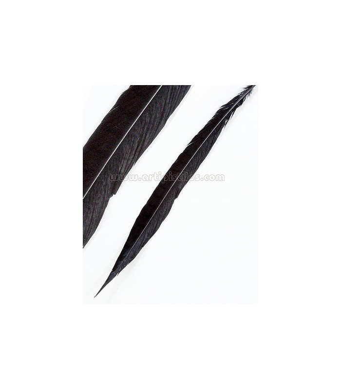 PHEASANT FEATHER LADY AMHERST 40-45 CMS.