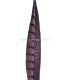 PLUMA FAISAN LADY AMHERST 40-45 CMS.