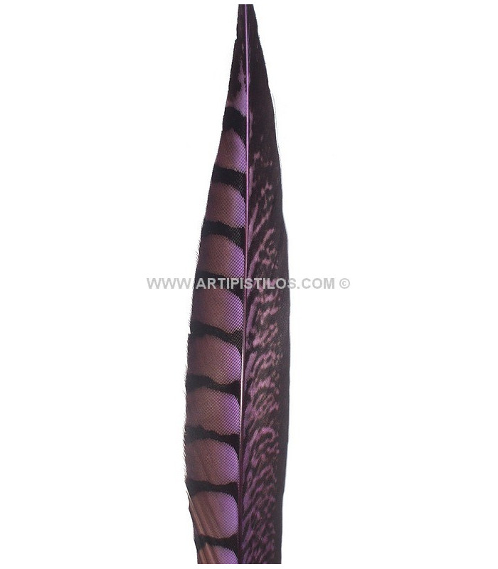 PHEASANT FEATHER LADY AMHERST 40-45 CMS.