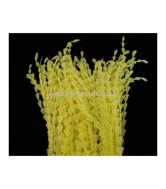 PLUMA DIAMANTE RECORTADA 25 CMS.