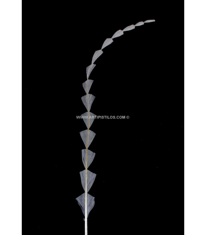 PLUMA DIAMANTE RECORTADA 25 CMS.