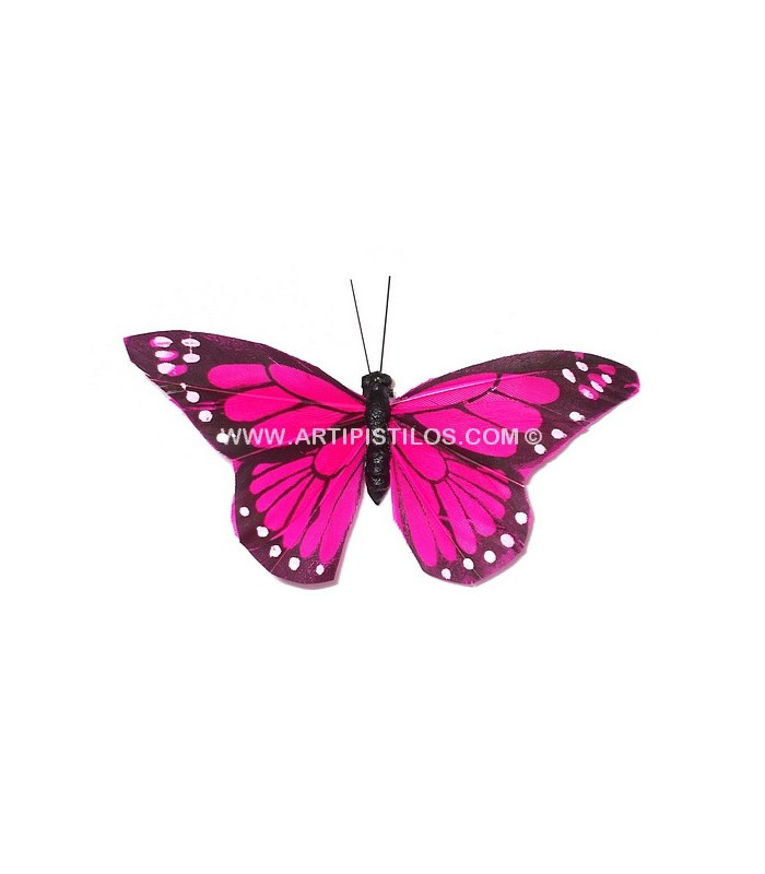 MARIPOSA DE PLUMAS