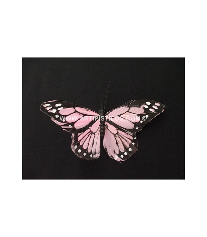 MARIPOSA DE PLUMAS