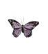 MARIPOSA DE PLUMAS