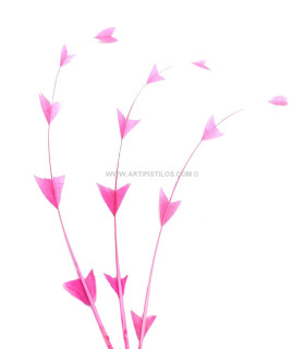 PLUMA DE GALLO DIAMANTE 25 CMS.