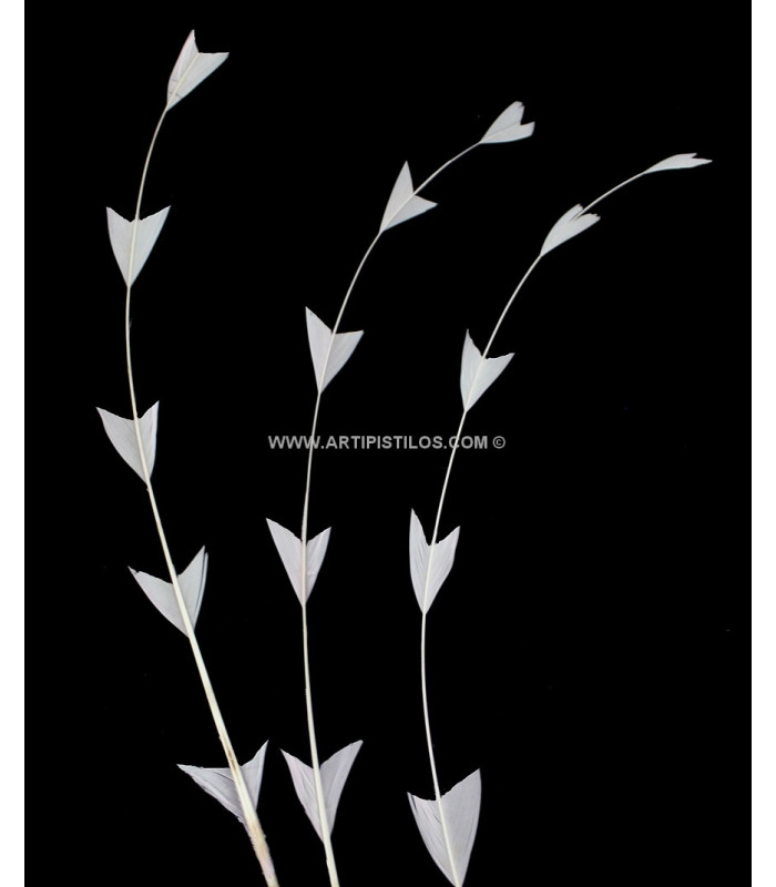 PENA DE GALO DIAMONT 25 CMS.