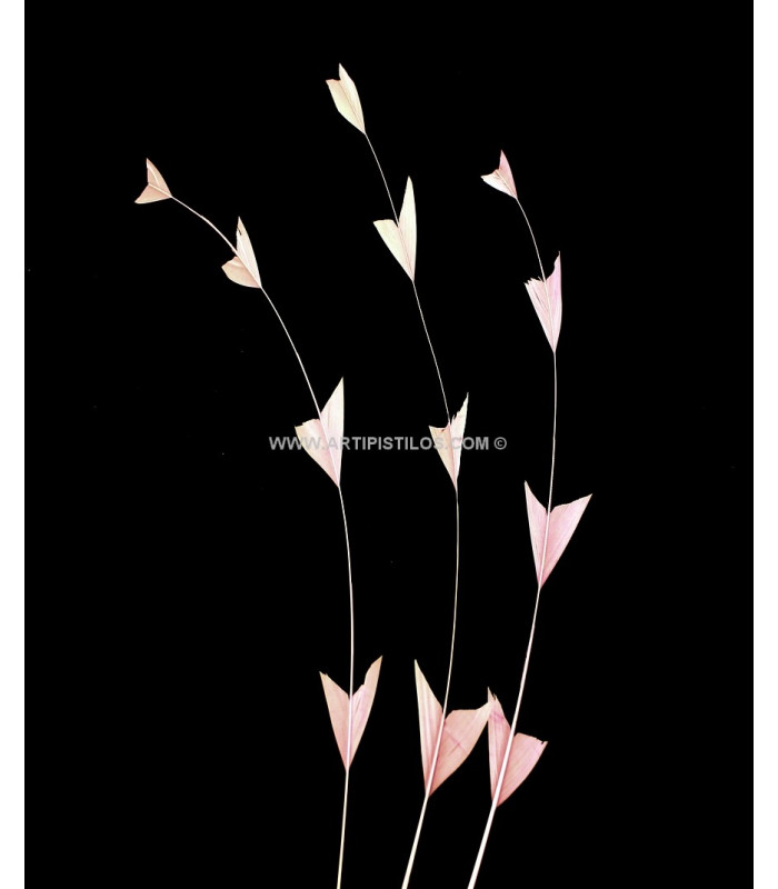PENA DE GALO DIAMONT 25 CMS.