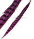 REEVES PHEASANT FEATHER 55 - 60 CMS.