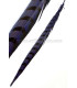 REEVES PHEASANT FEATHER 55 - 60 CMS.
