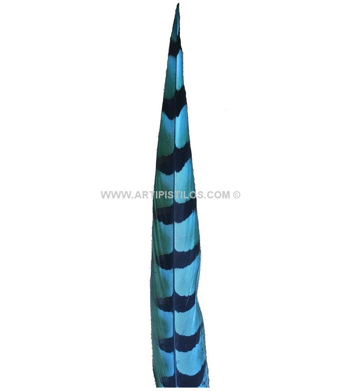 REEVES PHEASANT FEATHER 55 - 60 CMS.
