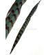 REEVES PHEASANT FEATHER 55 - 60 CMS.