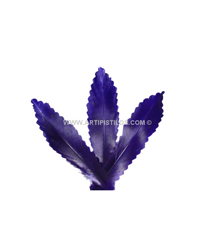 PLUMA RECORTADA CON MOTAS 15 CMS.