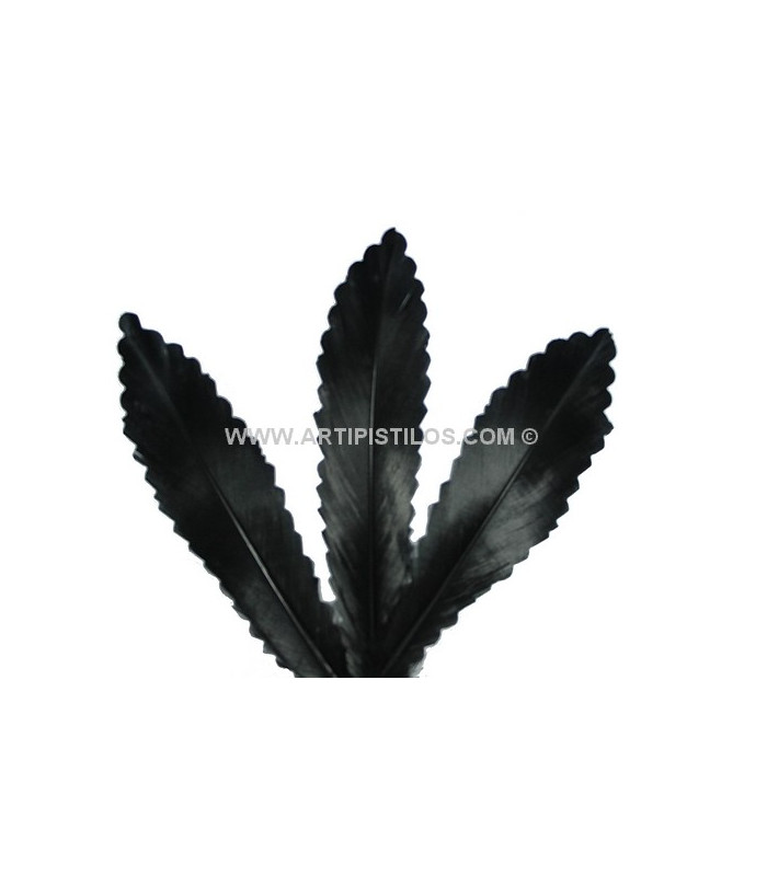 PLUMA RECORTADA CON MOTAS 15 CMS.