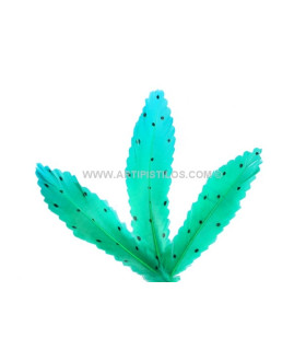 PLUMA RECORTADA CON MOTAS 15 CMS.