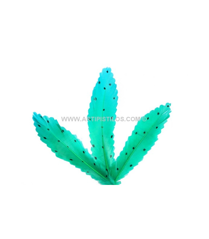 PLUMA RECORTADA CON MOTAS 15 CMS.