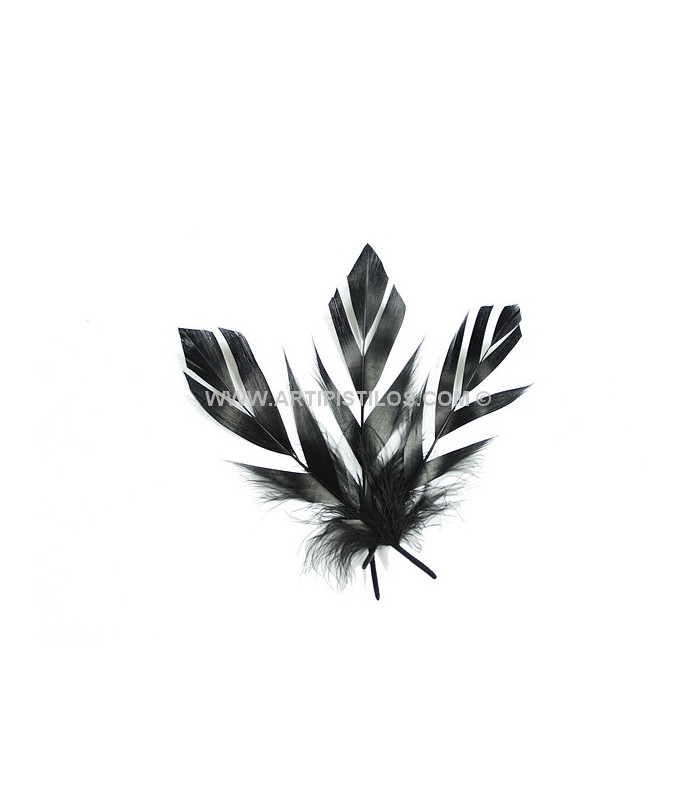 "FLANDES" FEATHER 15 CMS.