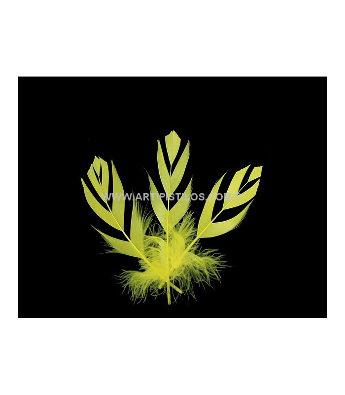 "FLANDES" FEATHER 15 CMS.