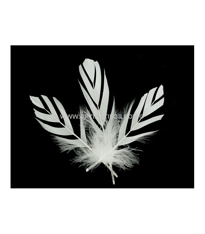 "FLANDES" FEATHER 15 CMS.