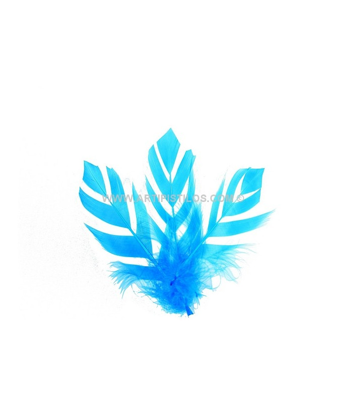 "FLANDES" FEATHER 15 CMS.