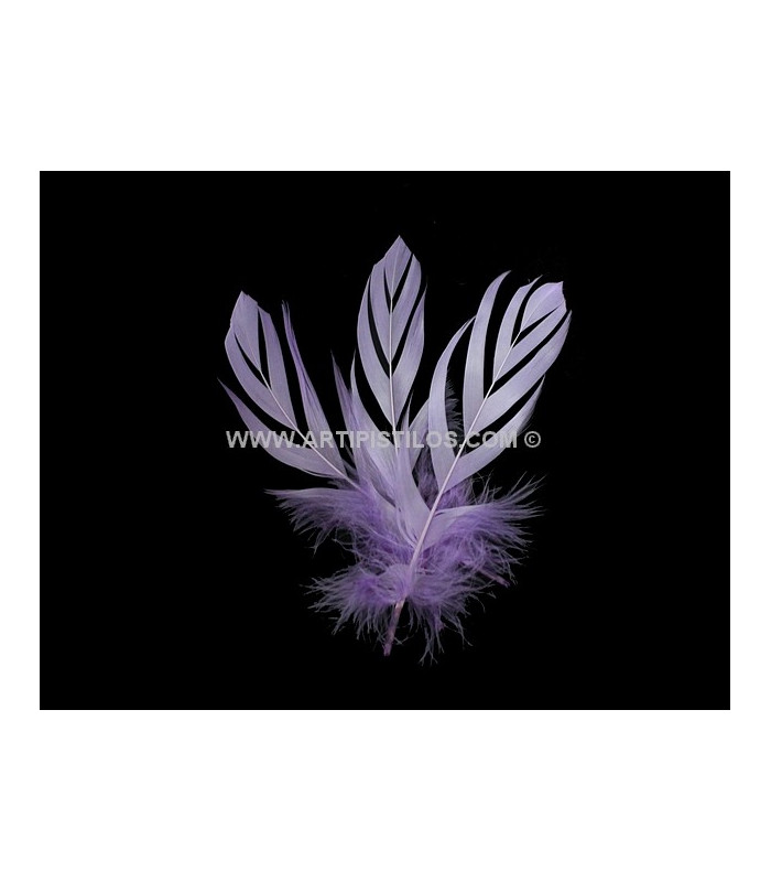 "FLANDES" FEATHER 15 CMS.