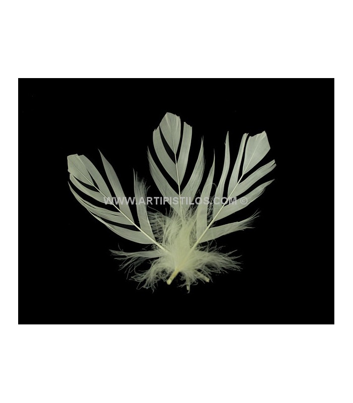 "FLANDES" FEATHER 15 CMS.