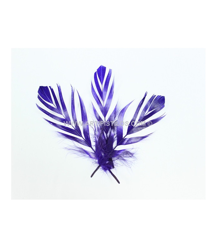 PLUMA RECORTADA "FLANDES" 15 CMS.