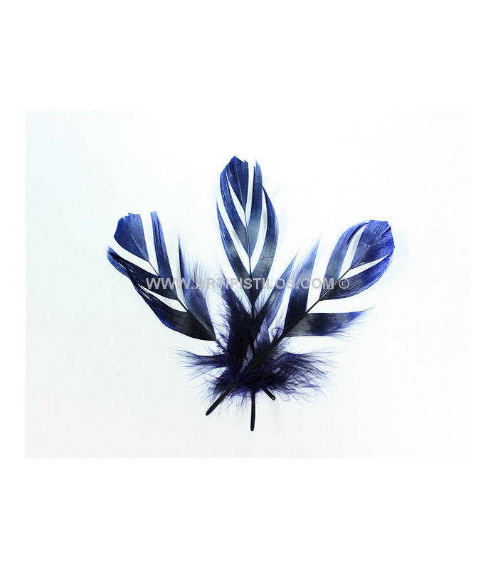 "FLANDES" FEATHER 15 CMS.