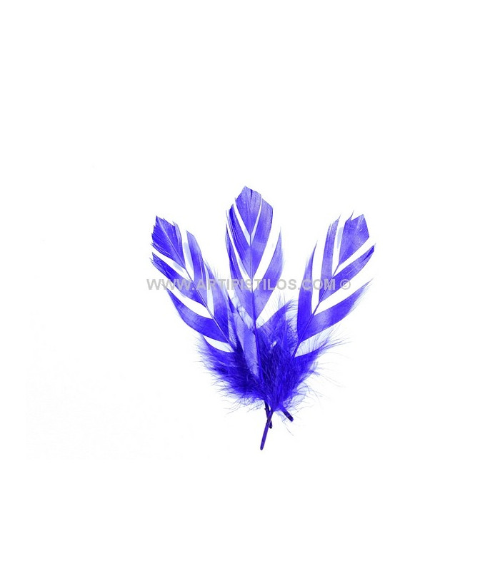 "FLANDES" FEATHER 15 CMS.