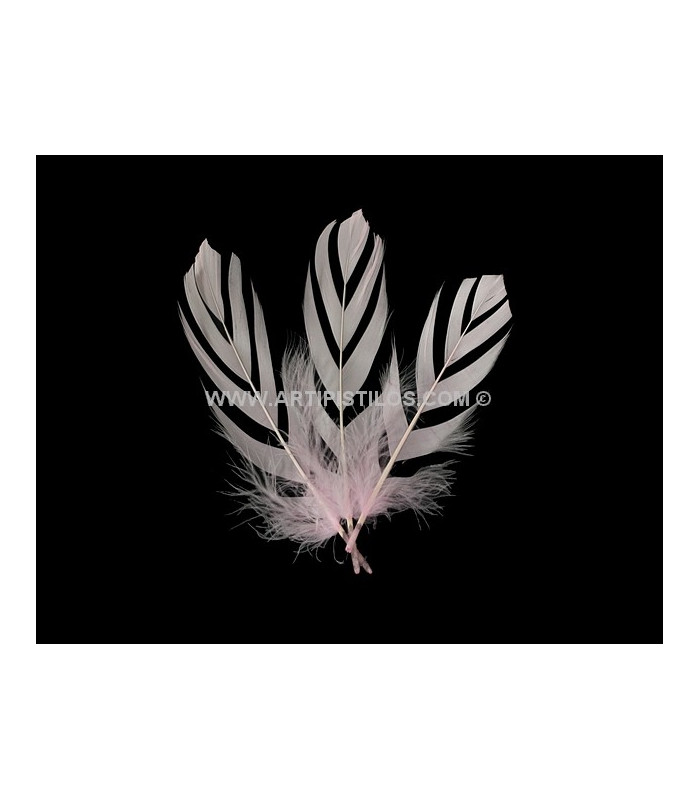 "FLANDES" FEATHER 15 CMS.