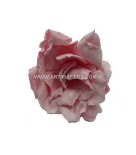 GARDENIA PRESERVADA 6 CMS. DIAMETRO